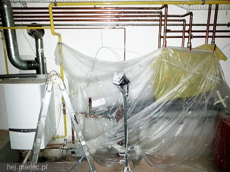 Jak zmienia się Państwowa Szkoła Muzyczna w Mielcu