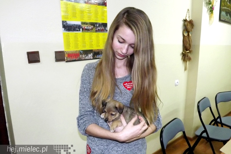 22. Finał WOŚP w Wadowicach Dolnych