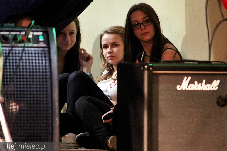 22. Finał WOŚP w Radomyślu Wielkim