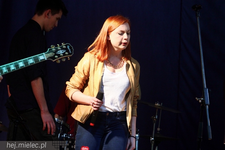 22. Finał WOŚP w Radomyślu Wielkim