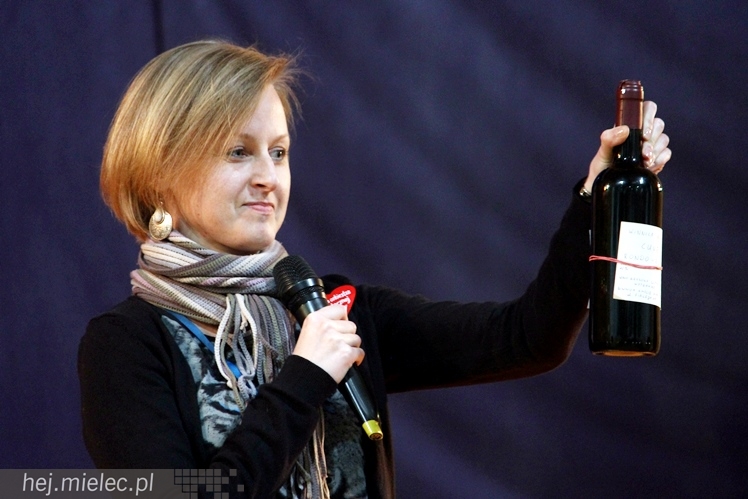 22. Finał WOŚP w Radomyślu Wielkim