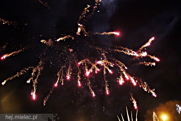 22. Finał WOŚP w Radomyślu Wielkim