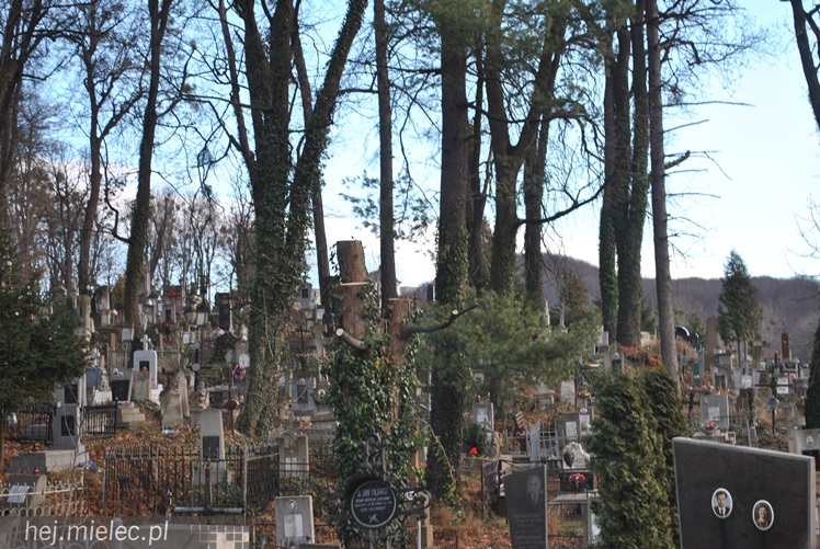 Świąteczna Paczka dla Rodaków na Wschodzie