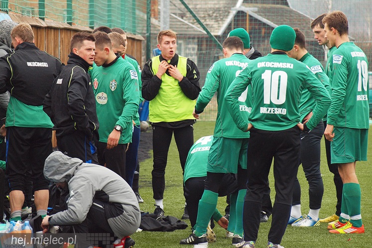 Pierwszoligowy Okocimski zdemolowany w sparingu przez Stal