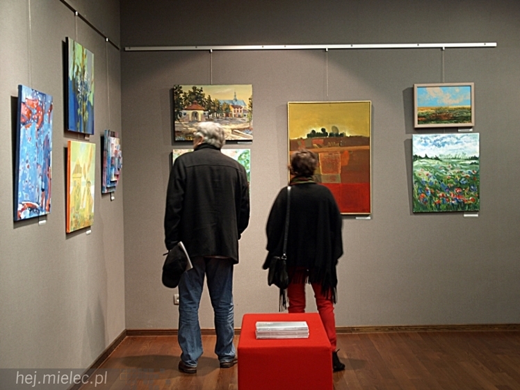 Wernisaż wystawy poplenerowej Kolbuszowa - Łańcut 2013 w Galerii Domu Kultury