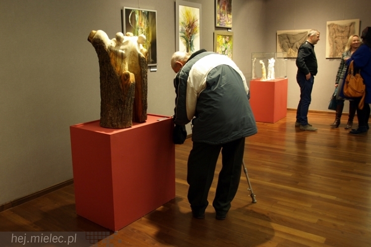 Wernisaż wystawy poplenerowej Kolbuszowa - Łańcut 2013 w Galerii Domu Kultury