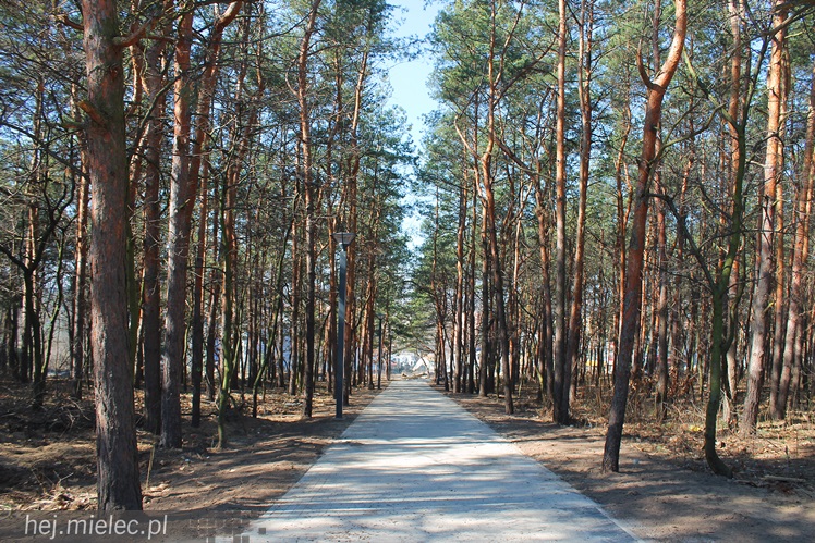 Rewitalizacja Góry Cyranowskiej trwa