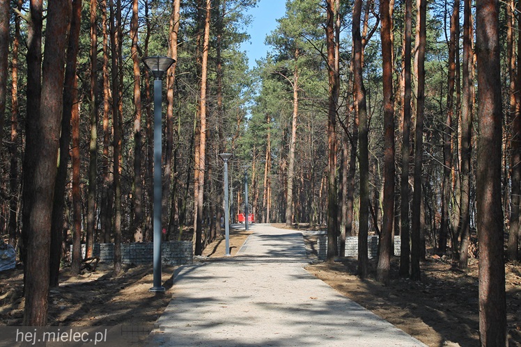 Rewitalizacja Góry Cyranowskiej trwa