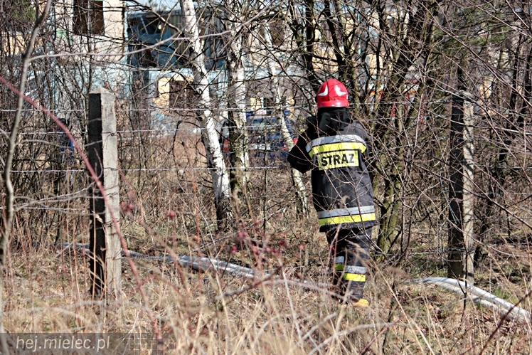 Pożar przy mieleckim lotnisku. Na miejscu kilkanaście wozów straży pożarnej