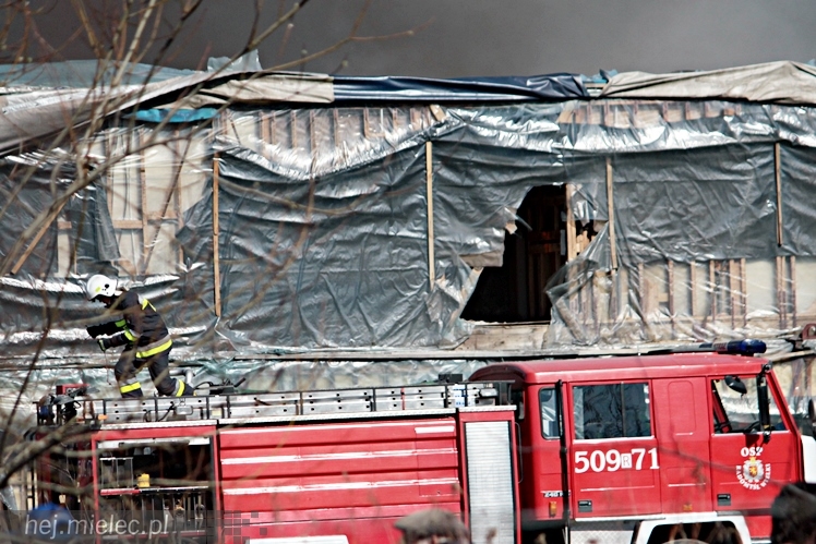 Pożar przy mieleckim lotnisku. Na miejscu kilkanaście wozów straży pożarnej