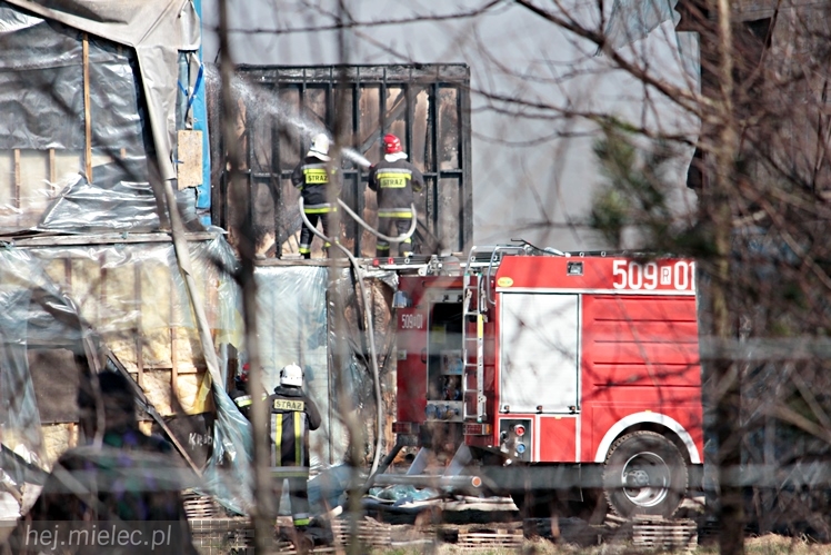 Pożar przy mieleckim lotnisku. Na miejscu kilkanaście wozów straży pożarnej