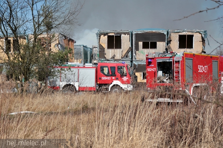 Pożar przy mieleckim lotnisku. Na miejscu kilkanaście wozów straży pożarnej