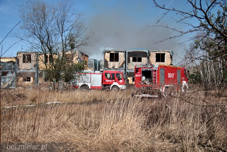 Pożar przy mieleckim lotnisku. Na miejscu kilkanaście wozów straży pożarnej