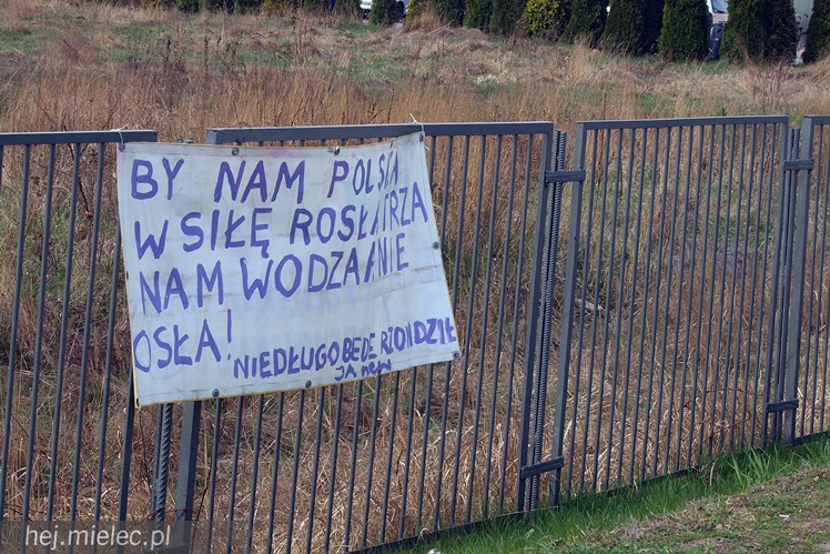 Polityczne, antysemickie hasła na ulicach miasta