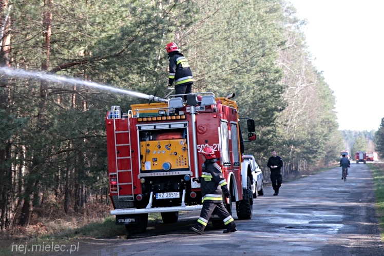Pożar lasu w Woli Chorzelowskiej