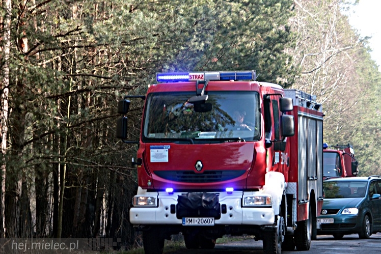 Pożar lasu w Woli Chorzelowskiej