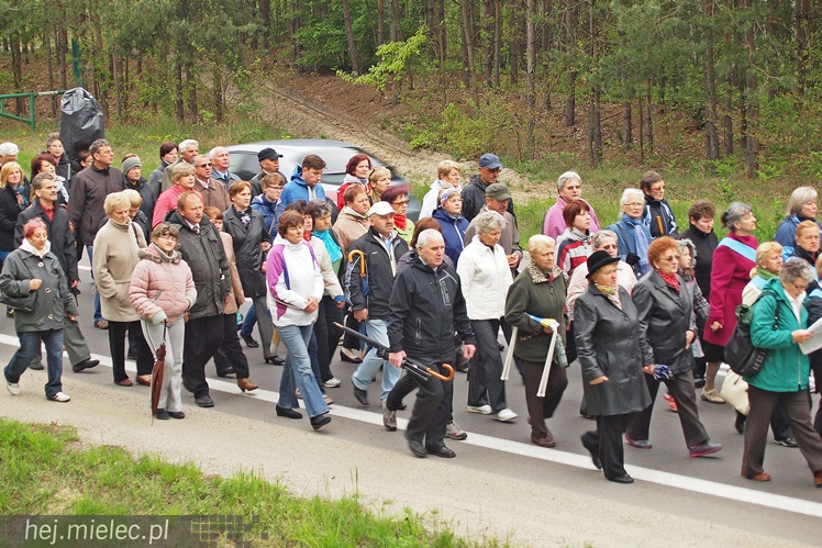 Dwieście osób pielgrzymowało do kapliczki cudami słynącej