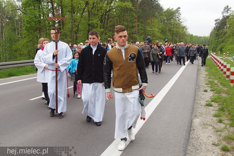 Dwieście osób pielgrzymowało do kapliczki cudami słynącej
