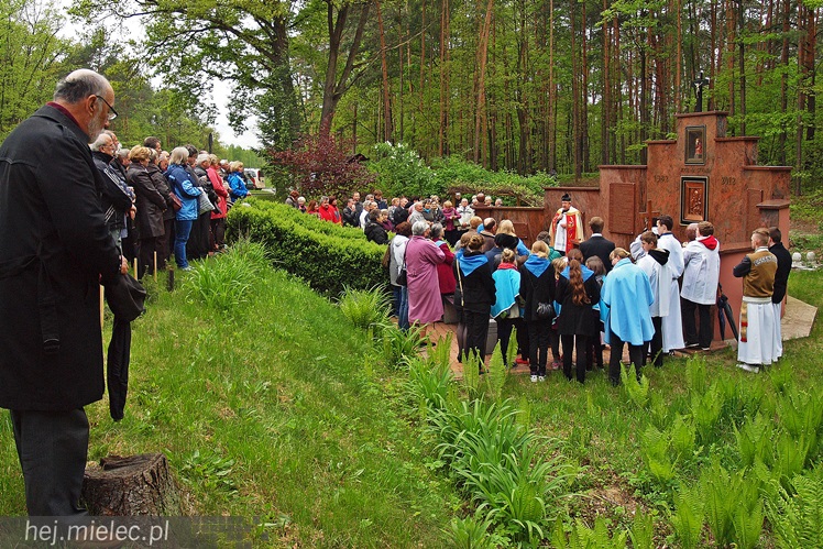 Dwieście osób pielgrzymowało do kapliczki cudami słynącej