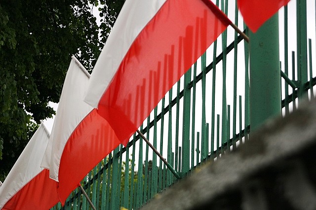 Uroczystości upamiętniające 69 lat od zakończenia II wojny światowej