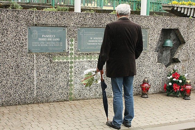 Uroczystości upamiętniające 69 lat od zakończenia II wojny światowej