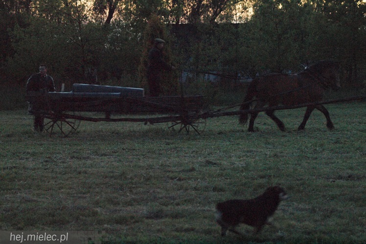 Przyszli zobaczyć jak ich dziadkowie walczyli z okupantem. Historyczny piknik w Podborzu