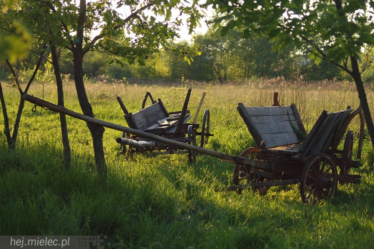 Przyszli zobaczyć jak ich dziadkowie walczyli z okupantem. Historyczny piknik w Podborzu