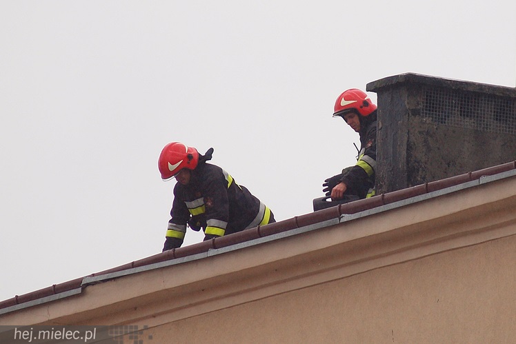 Porywisty wiatr łamie drzewa, zrywa poszycia dachów i ocieplenia budynków