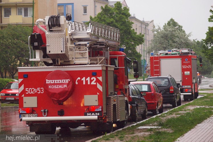 Porywisty wiatr łamie drzewa, zrywa poszycia dachów i ocieplenia budynków