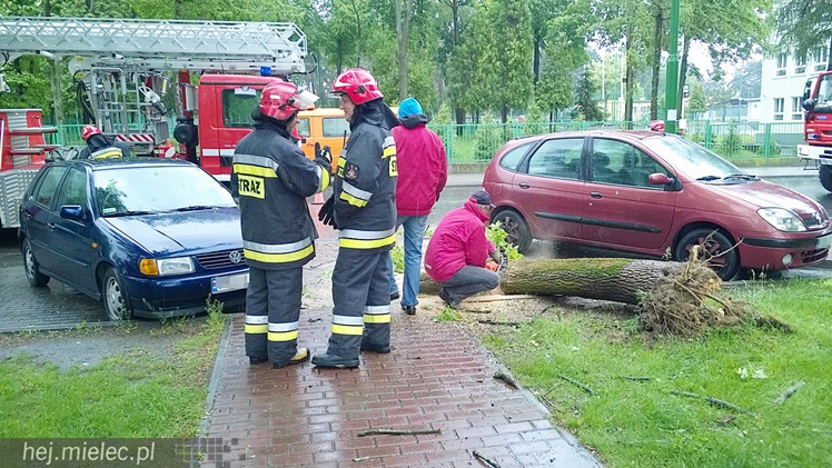 Porywisty wiatr łamie drzewa, zrywa poszycia dachów i ocieplenia budynków
