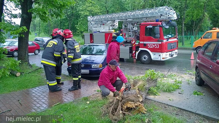Porywisty wiatr łamie drzewa, zrywa poszycia dachów i ocieplenia budynków
