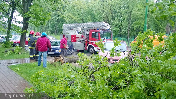 Porywisty wiatr łamie drzewa, zrywa poszycia dachów i ocieplenia budynków