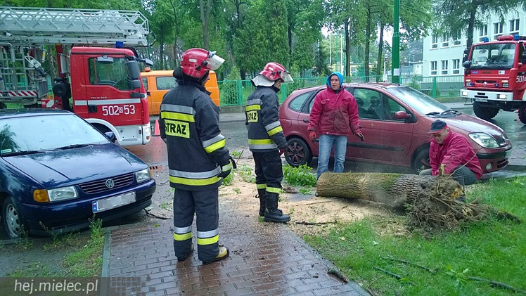 Porywisty wiatr łamie drzewa, zrywa poszycia dachów i ocieplenia budynków