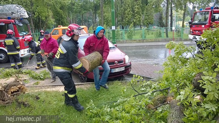 Porywisty wiatr łamie drzewa, zrywa poszycia dachów i ocieplenia budynków