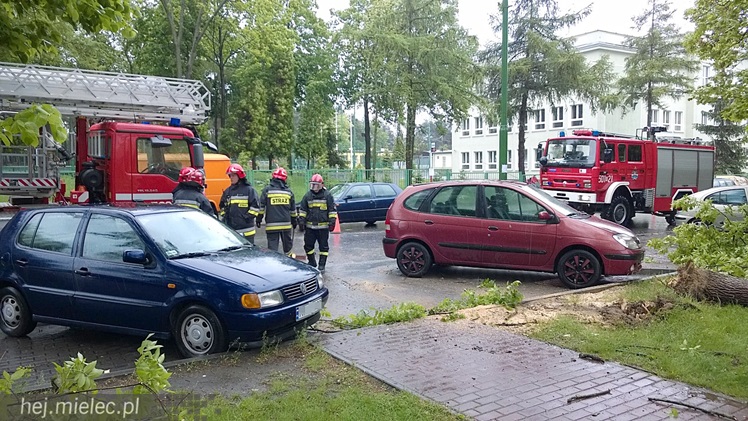 Porywisty wiatr łamie drzewa, zrywa poszycia dachów i ocieplenia budynków