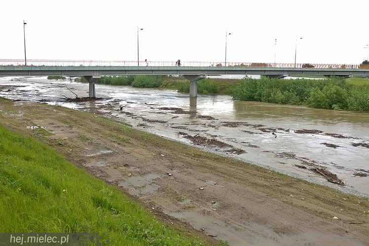 Wisłoka nieznacznie opuściła koryto