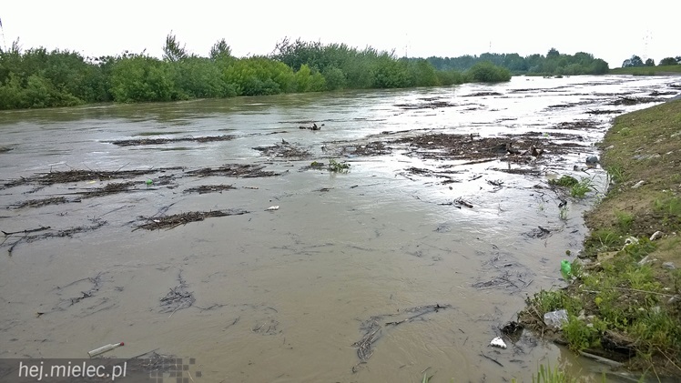 Wisłoka nieznacznie opuściła koryto