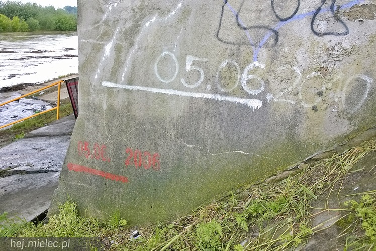 Wisłoka nieznacznie opuściła koryto