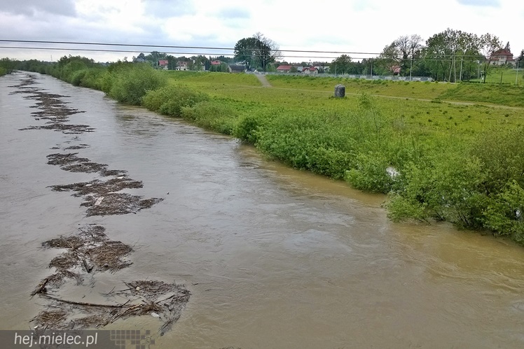 Wisłoka nieznacznie opuściła koryto