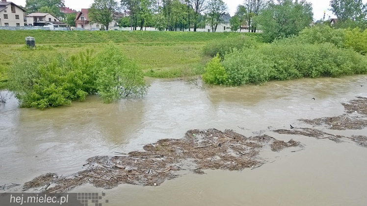Wisłoka nieznacznie opuściła koryto