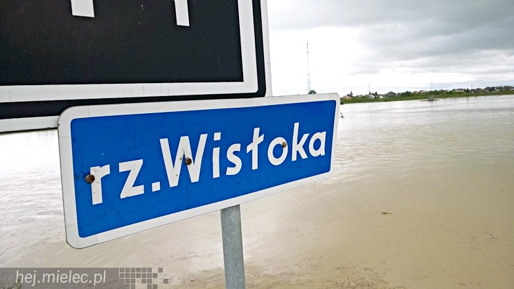 Wisłoka w obrębie mostu wczesnym popołudniem