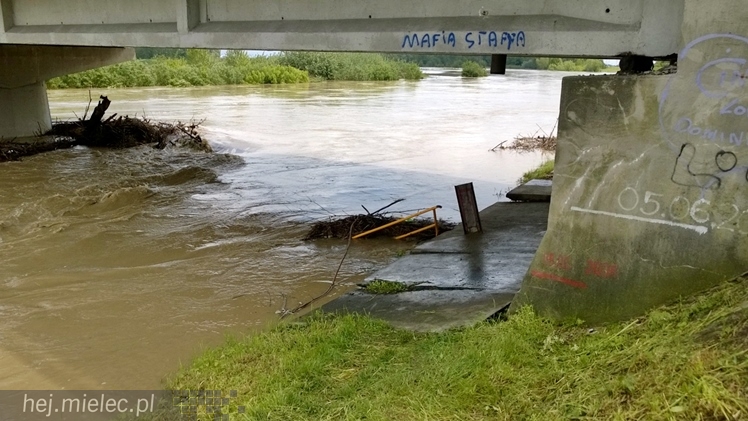 Wisłoka w obrębie mostu wczesnym popołudniem