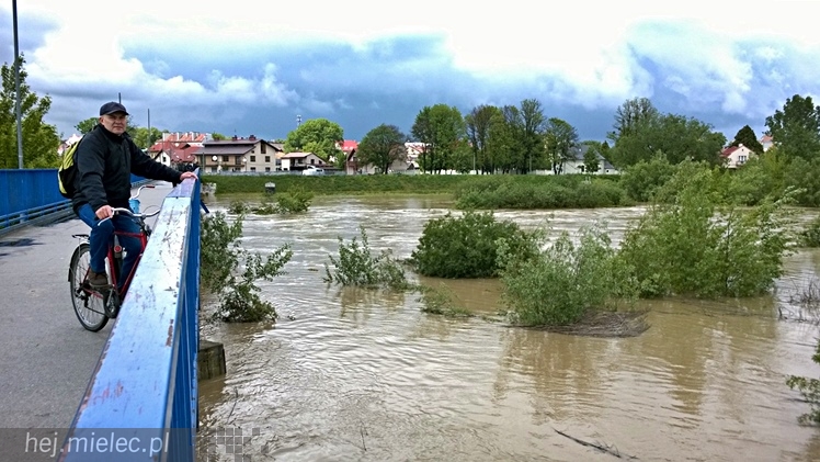 Wisłoka w obrębie kładki - około godziny 15:00