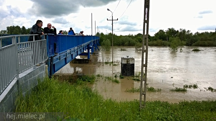 Wisłoka w obrębie kładki - około godziny 15:00