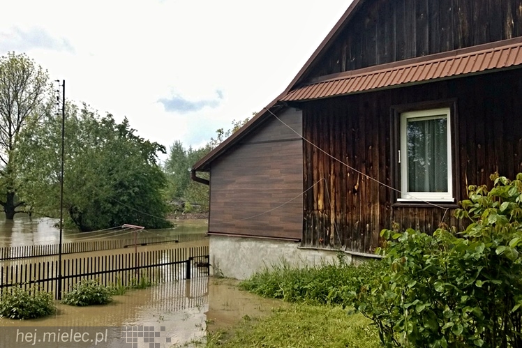 Na osiedlu Rzochów podtopionych kilka najniżej położonych posesji