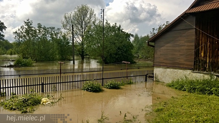 Na osiedlu Rzochów podtopionych kilka najniżej położonych posesji