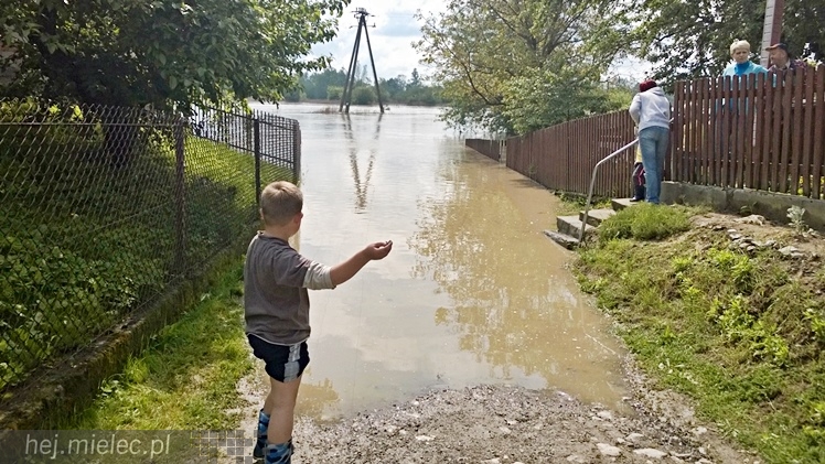 Na osiedlu Rzochów podtopionych kilka najniżej położonych posesji