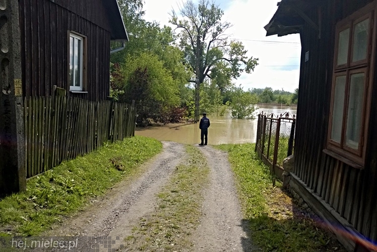 Na osiedlu Rzochów podtopionych kilka najniżej położonych posesji
