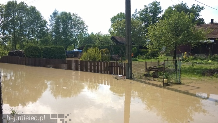 Na osiedlu Rzochów podtopionych kilka najniżej położonych posesji