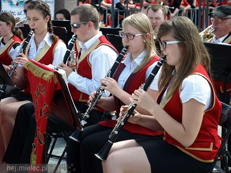 Powiatowy Festyn Rodzinny z okazji Dnia Dziecka i Dnia Matki